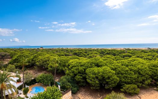 Charmig studio lägenhet i Guardamar del Segura, Costa Blanca