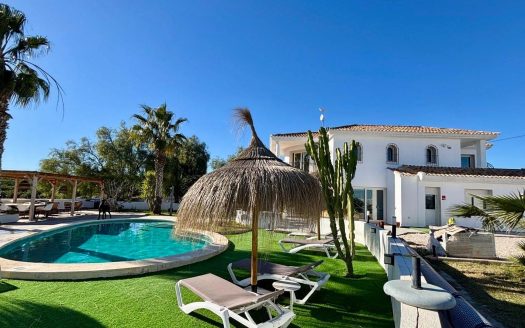 house for sale in San Miguel de Salinas